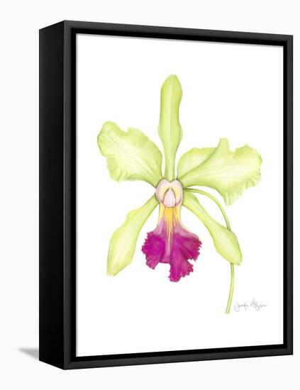 Small Orchid Beauty III-Jennifer Goldberger-Framed Stretched Canvas