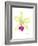 Small Orchid Beauty III-Jennifer Goldberger-Framed Premium Giclee Print