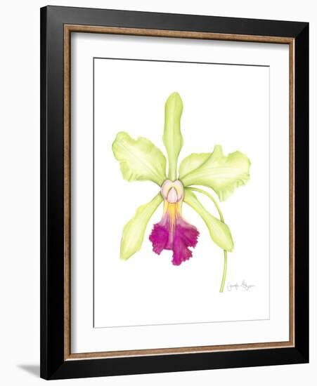 Small Orchid Beauty III-Jennifer Goldberger-Framed Premium Giclee Print