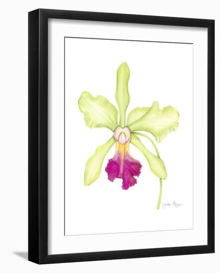 Small Orchid Beauty III-Jennifer Goldberger-Framed Art Print