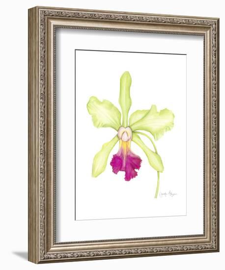 Small Orchid Beauty III-Jennifer Goldberger-Framed Art Print