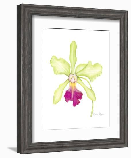 Small Orchid Beauty III-Jennifer Goldberger-Framed Art Print