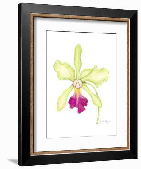 Small Orchid Beauty III-Jennifer Goldberger-Framed Art Print