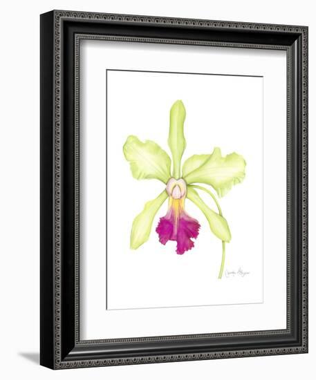 Small Orchid Beauty III-Jennifer Goldberger-Framed Art Print