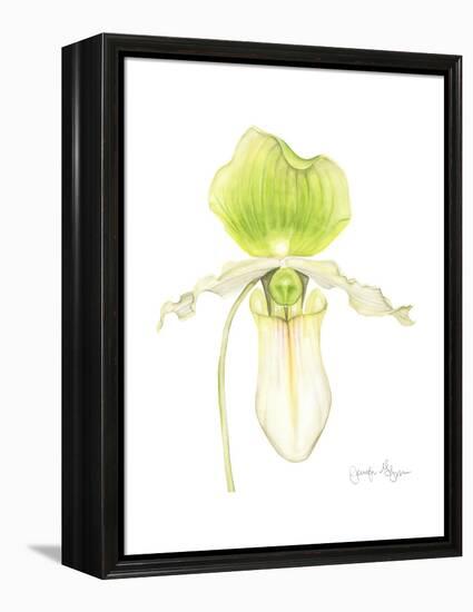 Small Orchid Beauty IV-Jennifer Goldberger-Framed Stretched Canvas