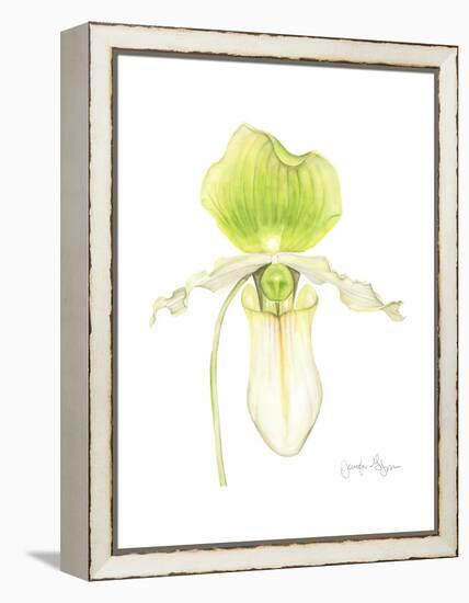 Small Orchid Beauty IV-Jennifer Goldberger-Framed Stretched Canvas