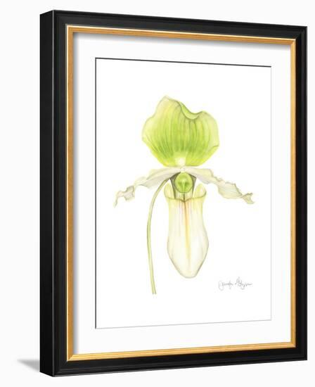 Small Orchid Beauty IV-Jennifer Goldberger-Framed Premium Giclee Print