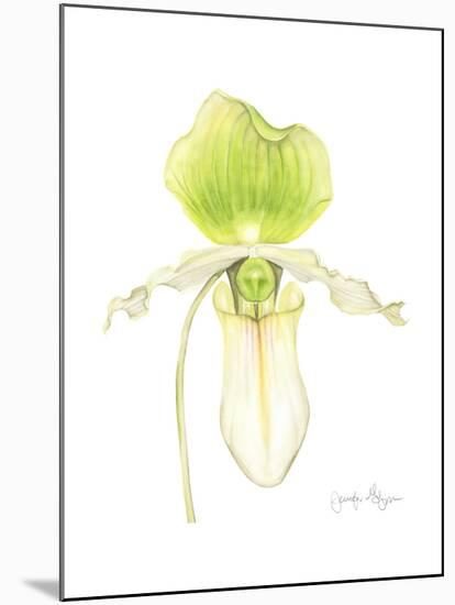 Small Orchid Beauty IV-Jennifer Goldberger-Mounted Art Print