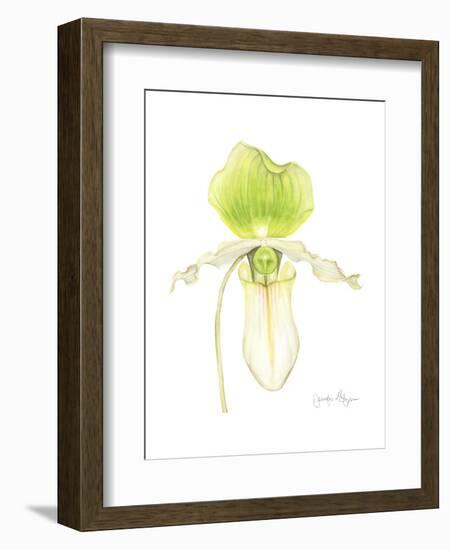 Small Orchid Beauty IV-Jennifer Goldberger-Framed Art Print