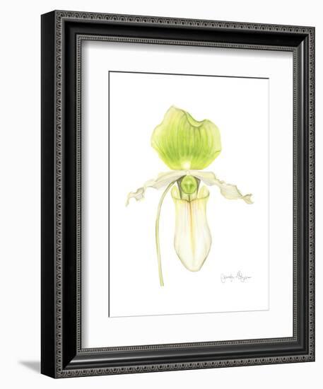 Small Orchid Beauty IV-Jennifer Goldberger-Framed Art Print