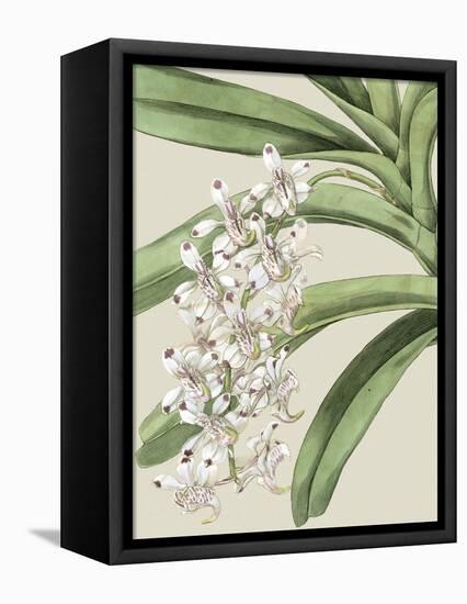 Small Orchid Blooms I-Vision Studio-Framed Stretched Canvas