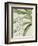 Small Orchid Blooms I-Vision Studio-Framed Art Print