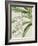 Small Orchid Blooms I-Vision Studio-Framed Art Print