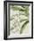 Small Orchid Blooms I-Vision Studio-Framed Art Print