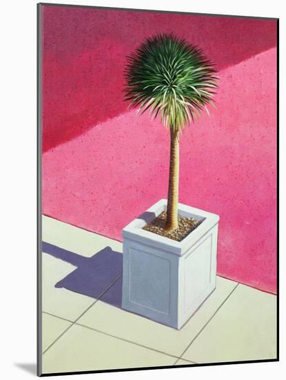 Small Palm, 1995-Lincoln Seligman-Mounted Giclee Print