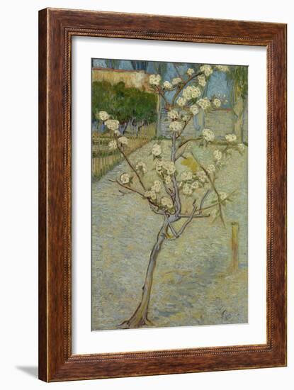 Small pear tree in blossom, 1888-Vincent van Gogh-Framed Giclee Print