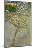Small pear tree in blossom, 1888-Vincent van Gogh-Mounted Giclee Print