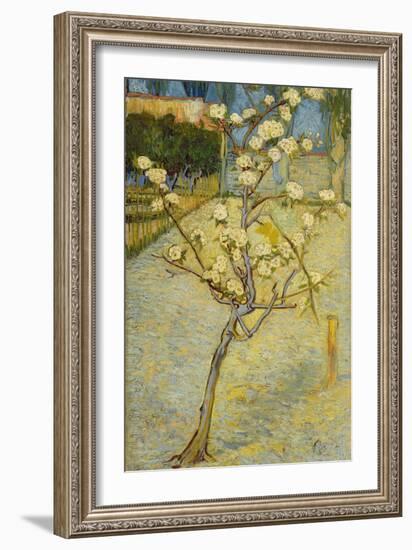 Small Pear Tree in Blossom, 1888-Vincent van Gogh-Framed Giclee Print