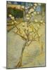 Small Pear Tree in Blossom, 1888-Vincent van Gogh-Mounted Giclee Print