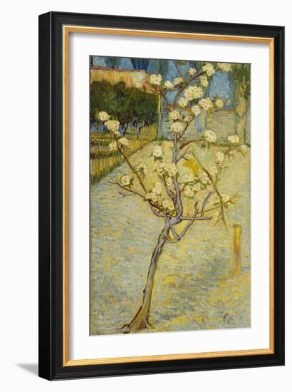 Small Pear Tree in Blossom, 1888-Vincent van Gogh-Framed Giclee Print