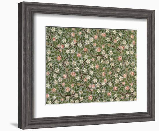 Small Pink and White Flower Wallpaper Design-William Morris-Framed Giclee Print