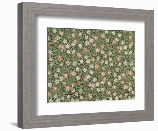 Small Pink and White Flower Wallpaper Design-William Morris-Framed Giclee Print