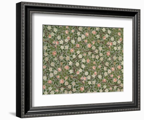 Small Pink and White Flower Wallpaper Design-William Morris-Framed Giclee Print