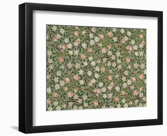 Small Pink and White Flower Wallpaper Design-William Morris-Framed Premium Giclee Print