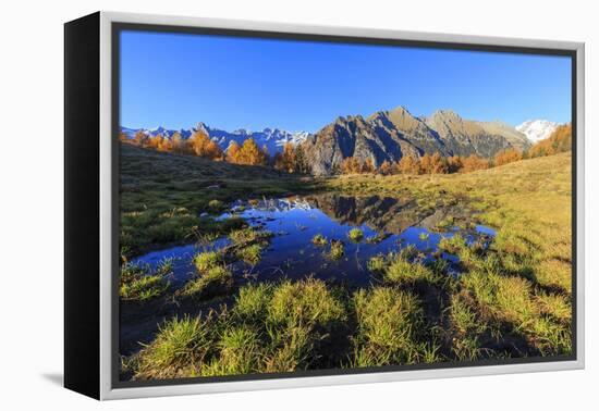 Small pond of Alpe Granda, Valtellina, Lombardy, Italy, Europe-Francesco Bergamaschi-Framed Premier Image Canvas