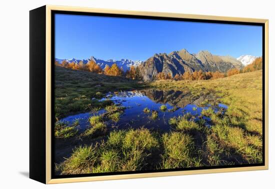 Small pond of Alpe Granda, Valtellina, Lombardy, Italy, Europe-Francesco Bergamaschi-Framed Premier Image Canvas