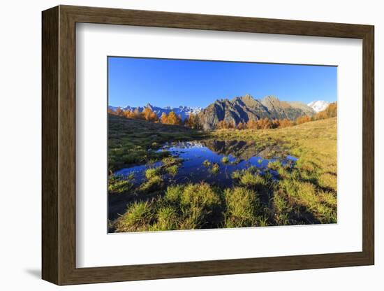 Small pond of Alpe Granda, Valtellina, Lombardy, Italy, Europe-Francesco Bergamaschi-Framed Photographic Print