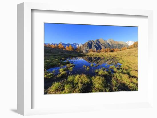 Small pond of Alpe Granda, Valtellina, Lombardy, Italy, Europe-Francesco Bergamaschi-Framed Photographic Print