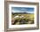 Small pool on bog moorland, Scotland, UK-null-Framed Photographic Print