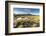 Small pool on bog moorland, Scotland, UK-null-Framed Photographic Print