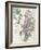 Small Postcard Wildflowers I-Jennifer Goldberger-Framed Photographic Print