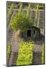 Small Rock Shed in the Vineyards in the Rolling Hills of Tuscany-Terry Eggers-Mounted Photographic Print