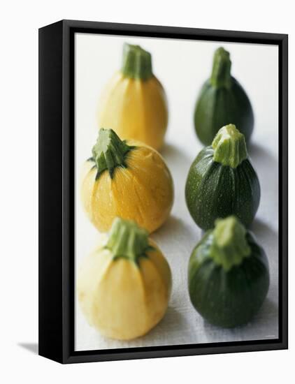 Small, Round, Yellow and Green Courgettes-Debi Treloar-Framed Premier Image Canvas