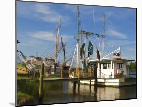 Small Safe Harbor I-Danny Head-Mounted Photographic Print