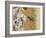 Small scissor bee in flight, Hertfordshire, England-Andy Sands-Framed Photographic Print