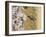 Small scissor bee in flight, Hertfordshire, England-Andy Sands-Framed Photographic Print