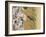 Small scissor bee in flight, Hertfordshire, England-Andy Sands-Framed Photographic Print