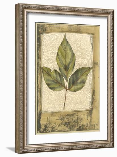 Small Spring Foliage II-Jennifer Goldberger-Framed Art Print