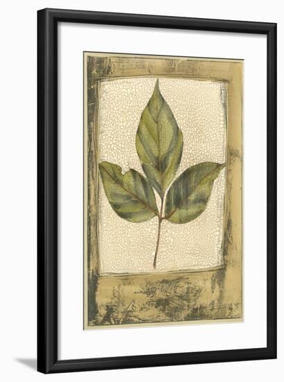 Small Spring Foliage II-Jennifer Goldberger-Framed Art Print