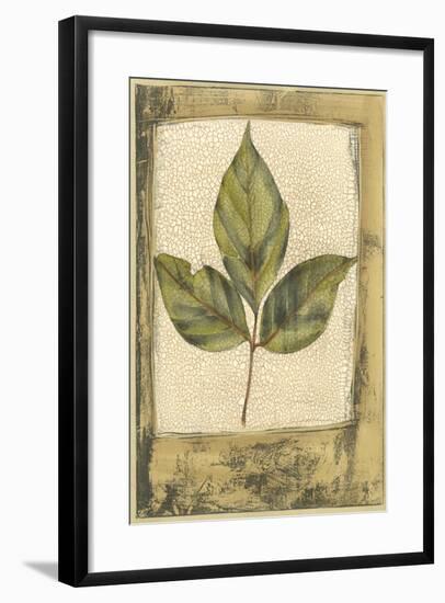 Small Spring Foliage II-Jennifer Goldberger-Framed Art Print