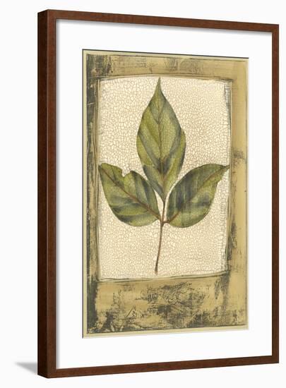 Small Spring Foliage II-Jennifer Goldberger-Framed Art Print