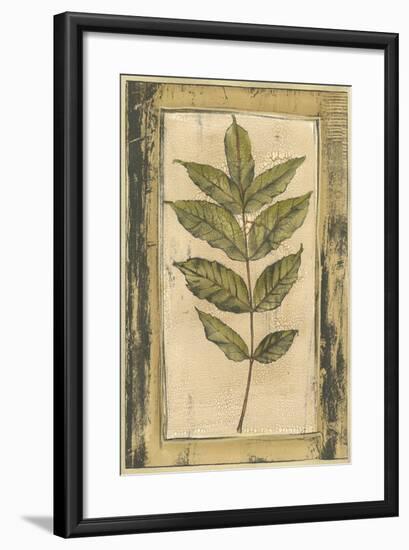Small Spring Foliage IV-Jennifer Goldberger-Framed Art Print