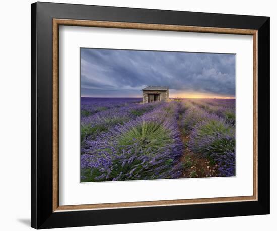 Small stone house in lavender field at sunset with a cloudy sky, Valensole, Provence, France-Francesco Fanti-Framed Photographic Print