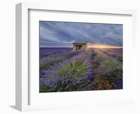 Small stone house in lavender field at sunset with a cloudy sky, Valensole, Provence, France-Francesco Fanti-Framed Photographic Print