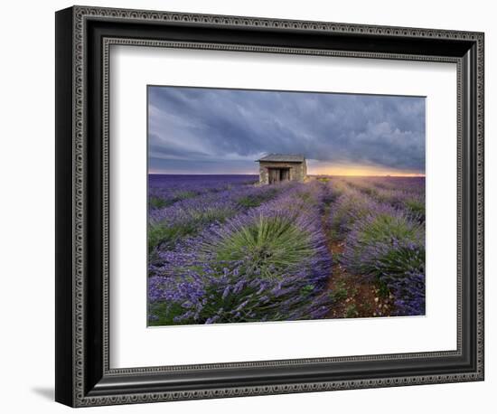 Small stone house in lavender field at sunset with a cloudy sky, Valensole, Provence, France-Francesco Fanti-Framed Photographic Print