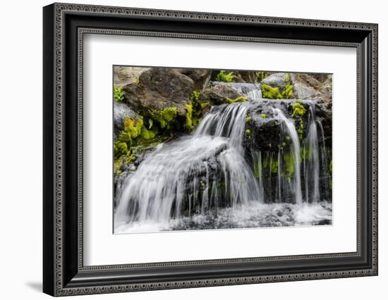 Small Stream Cascading over Rocks in Mountains of Kilauea-Michael DeFreitas-Framed Photographic Print